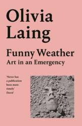 Funny Weather (ISBN: 9781529027655)