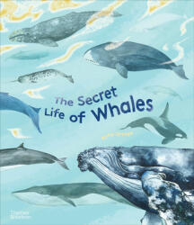 Secret Life of Whales - Rena Ortega (ISBN: 9780500652671)