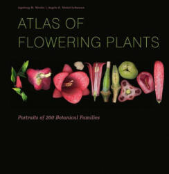 Atlas of Flowering Plants: Visual Studies of 200 Deconstructed Botanical Families - Angela K. Niebel-Lohmann (ISBN: 9780764361333)