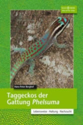 TAGGECKOS DER GATTUNG PHELSUMA - Hans-Peter Berghof (ISBN: 9783866592407)