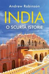 India. O scurtă istorie (ISBN: 9786063365300)