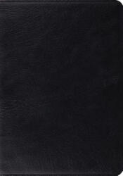 Study Bible-ESV - Crossway Bibles (ISBN: 9781433502446)
