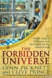 Forbidden Universe - Lynn Picknett (ISBN: 9781472124784)