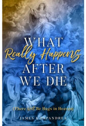 What Really Happens After We Die: There Will Be Hugs in Heaven (ISBN: 9781622826384)