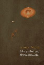A konyhában meg Elmore James szól (2021)