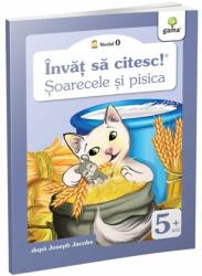 Soarecele si pisica (ISBN: 9789731497518)