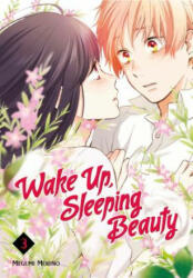 Wake Up, Sleeping Beauty 3 - Megumi Morino (ISBN: 9781632365897)