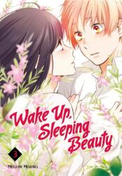 Wake Up, Sleeping Beauty 3 (ISBN: 9781632365897)