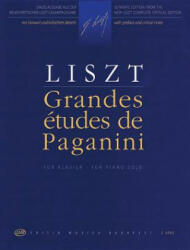 Grandes Etudes de Paganini: Piano Solo - Franz Liszt (ISBN: 9781480305021)