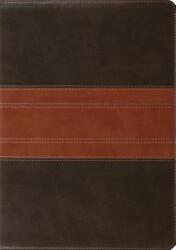 ESV Study Bible - Crossway Bibles (ISBN: 9781433503931)