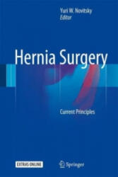Hernia Surgery - Yuri W. Novitsky (ISBN: 9783319274683)