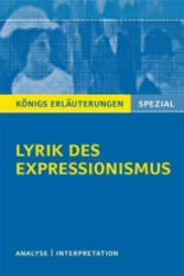 Lyrik des Expressionismus - Gudrun Blecken (ISBN: 9783804430334)
