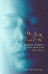 Healing Lost Souls - William J. Baldwin (ISBN: 9781571743664)
