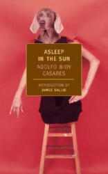 Asleep in the Sun (ISBN: 9781590170953)