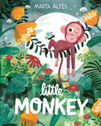 Little Monkey (ISBN: 9781529045093)