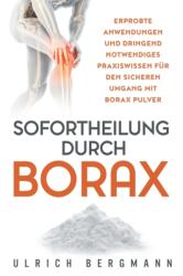 Sofortheilung durch Borax - ULRICH BERGMANN (ISBN: 9781734189483)