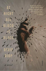 At Night All Blood Is Black - Anna Moschovakis (ISBN: 9781250800206)