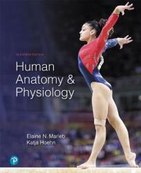 Human Anatomy & Physiology - Elaine N. Marieb, Katja Hoehn (ISBN: 9780134580999)