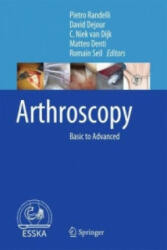 Arthroscopy - Pietro Randelli, David Dejour, C. Niek van Dijk, Matteo Denti, Romain Seil (ISBN: 9783662493748)