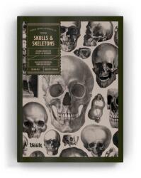 Skulls and Skeletons (ISBN: 9781925968446)