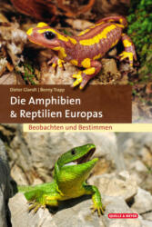 Die Amphibien und Reptilien Europas - Benny Trapp (ISBN: 9783494018546)