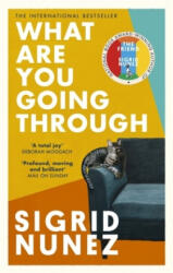 What Are You Going Through - 'A total joy - and laugh-out-loud funny' DEBORAH MOGGACH (ISBN: 9780349013657)