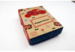 Fun Card English: Present Simple (ISBN: 9788366122239)