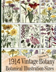 1914 Vintage Botany Botanical Illustration Sizes - C. Anders (ISBN: 9781086224139)