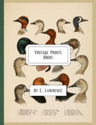 Vintage Prints: Birds - E Lawrence (ISBN: 9781987746136)