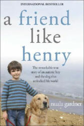A Friend Like Henry - Nuala Gardner (ISBN: 9781402214066)