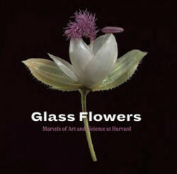 Glass Flowers - Roglan, Mark, A (ISBN: 9781785512247)