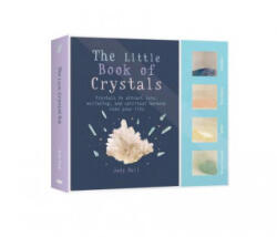 Little Crystal Kit - Judy Hall (ISBN: 9781856754033)