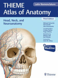 Head, Neck, and Neuroanatomy (THIEME Atlas of Anatomy), Latin Nomenclature - Erik Schulte, Udo Schumacher (ISBN: 9781684200863)