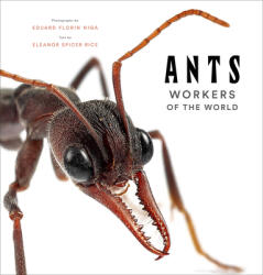 Ants: Workers of the World (ISBN: 9781419748493)