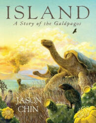 Jason Chin - Island - Jason Chin (ISBN: 9781250799937)