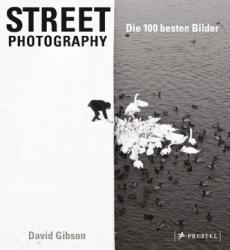 Street Photography: Die 100 besten Bilder (ISBN: 9783791383354)