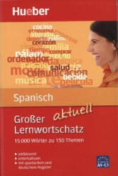 Großer Lernwortschatz Spanisch aktuell - Pedro Álvarez Ola, Trinidad Bonachera Álvarez (ISBN: 9783191294939)