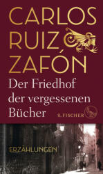Der Friedhof der vergessenen Bücher - Lisa Grüneisen (ISBN: 9783103970937)