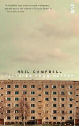 Pictures from Hopper - Neil Campbell (ISBN: 9781844718306)