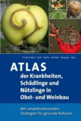 Atlas der Krankheiten, Schädlinge und Nützlinge im Obst- und Weinbau - Peter Fischer-Colbrie, Milan Hluchy, Uwe Hoffmann (ISBN: 9783702014896)