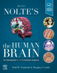 Nolte's The Human Brain - Douglas J. Gould (ISBN: 9780323653985)