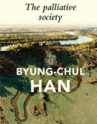 Palliative Society - Pain Today - Byung-Chul Han (ISBN: 9781509547241)