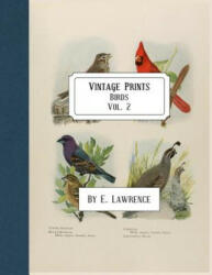 Vintage Prints: Birds: Vol. 2 - E. Lawrence (ISBN: 9781987797343)