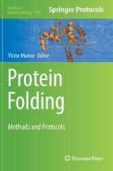Protein Folding: Methods and Protocols (ISBN: 9781071617151)