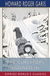 The Curlytops Snowed In (ISBN: 9781006824777)