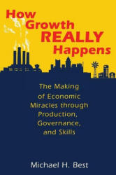 How Growth Really Happens: The Making of Economic Miracles Through Production Governance and Skills (ISBN: 9780691227252)