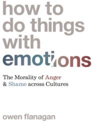How to Do Things with Emotions: The Morality of Anger and Shame Across Cultures (ISBN: 9780691220970)
