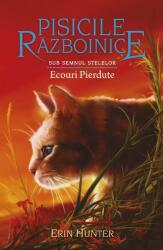 Ecouri Pierdute (ISBN: 9786067960921)