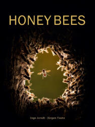 Honey Bees - Jurgen Tautz (ISBN: 9780565095277)