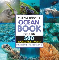 The Fascinating Ocean Book for Kids (ISBN: 9781648768842)